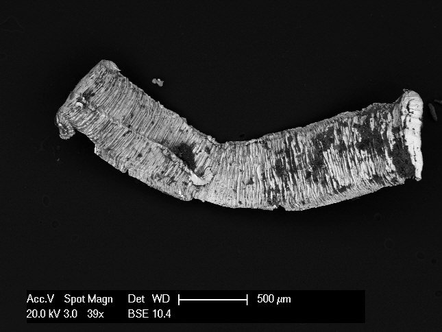 Particle Analysis torn metal particle