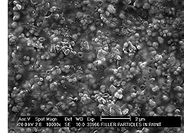 SEM secondary electron image of fillers in a paint sample