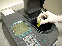 spectrophotometry lab