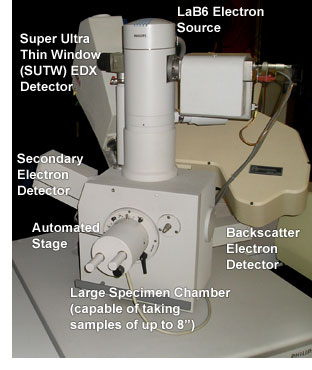 Labelled SEM / EDX Instrument