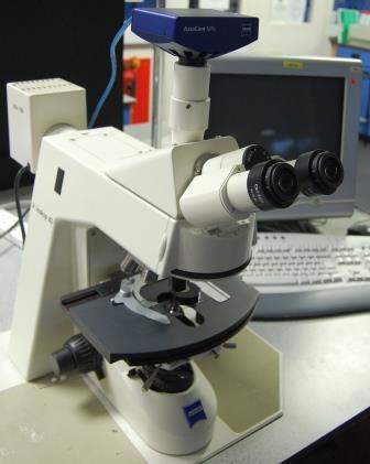 Zeiss Metallurgical Microscope